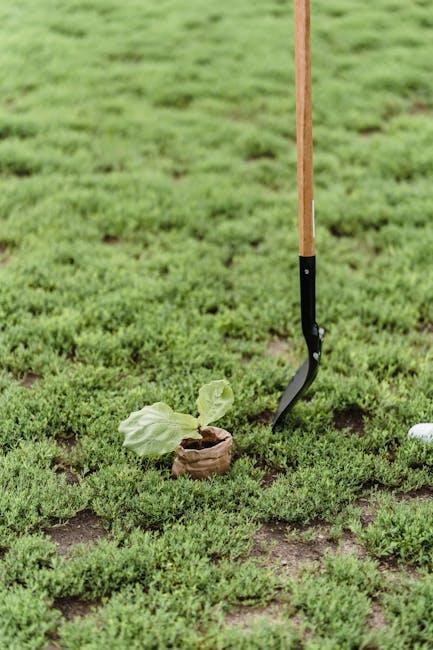 Psicología de las Expectativas: Entendiendo lo Que Llevamos en Nuestra Mente