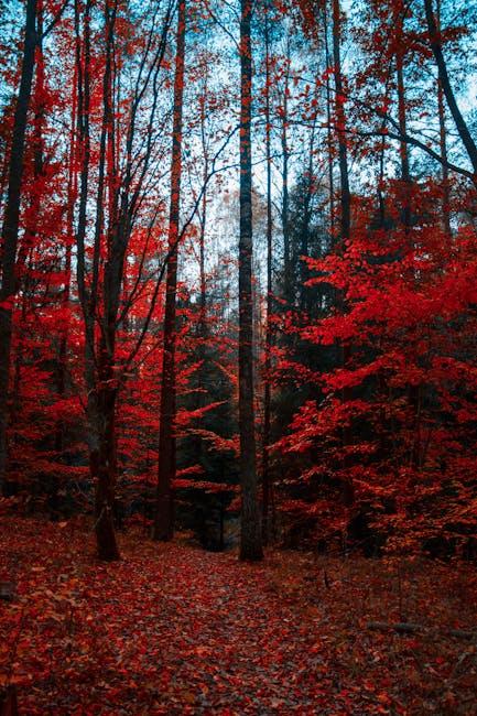 Explorando la Magia de ⁣la ​Naturaleza en ​Destinos Inexplorados